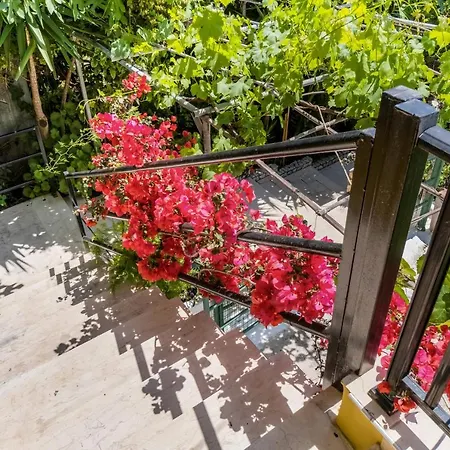 Captain Fotis 3 Apartament